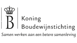 koning boudewijnstichting logo
